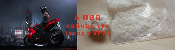 спиды Гусев