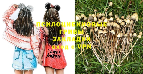 МДПВ Гусь-Хрустальный