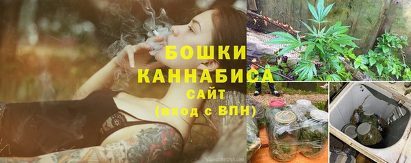 спиды Гусев