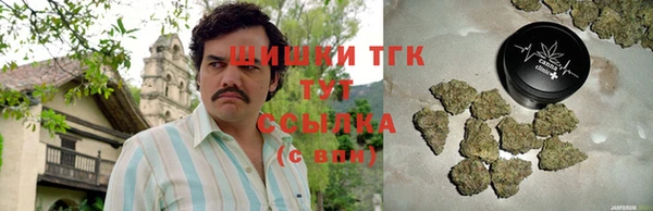 гидра Гусиноозёрск