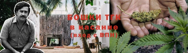 гидра Гусиноозёрск