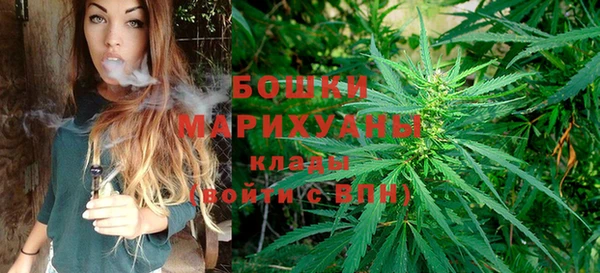 гидра Гусиноозёрск